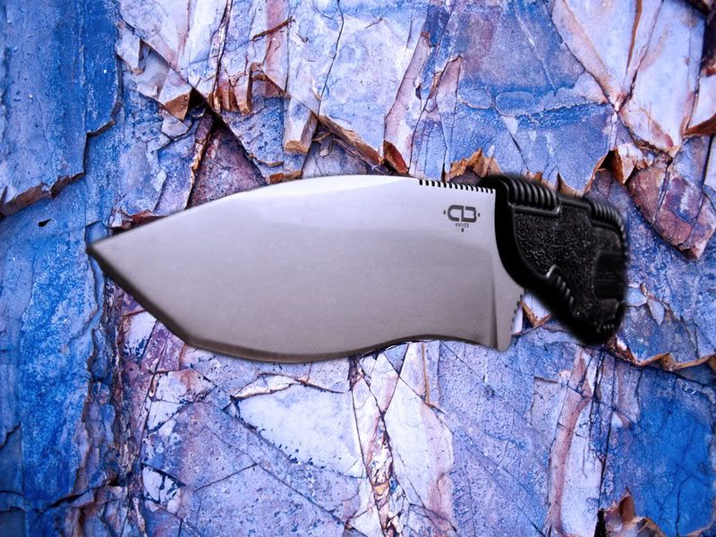 rockedmpt.jpg