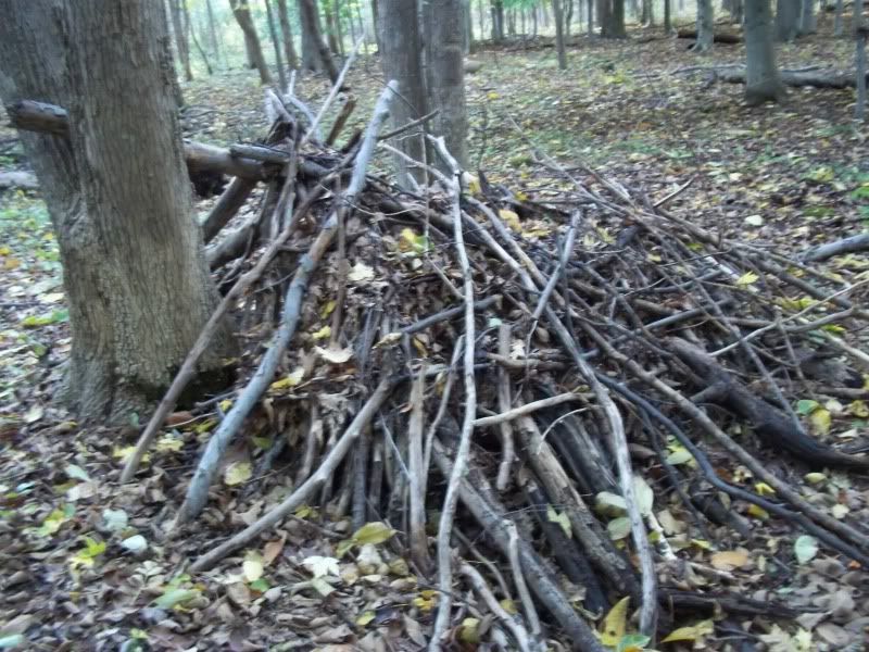 100_1209.jpg
