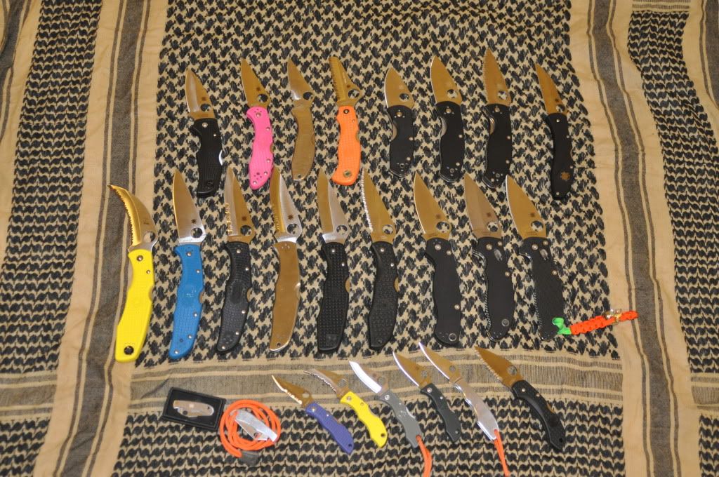 DSC_0107.jpg