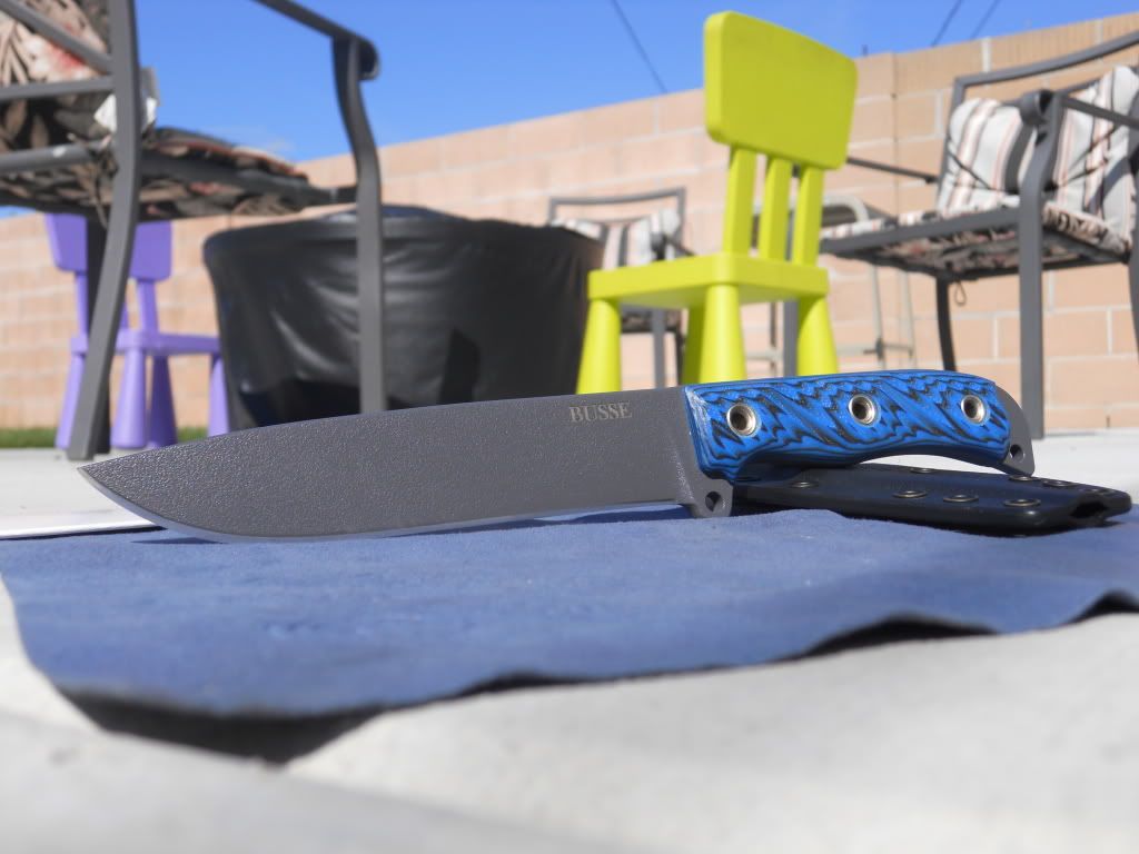 DSCN1729.jpg