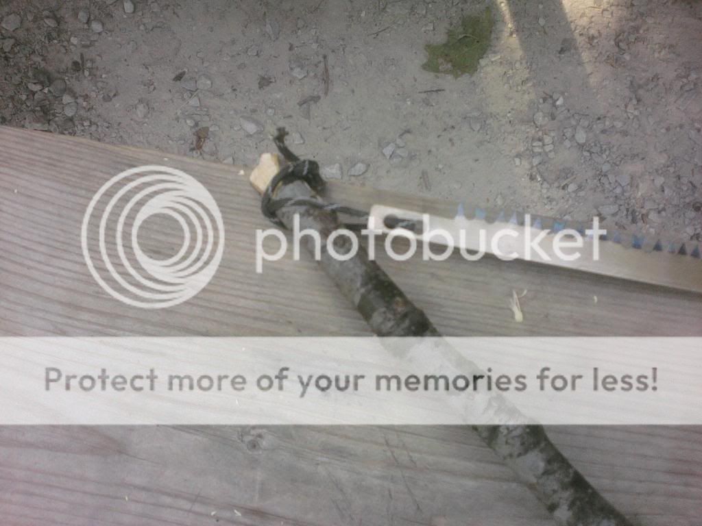 back001.jpg