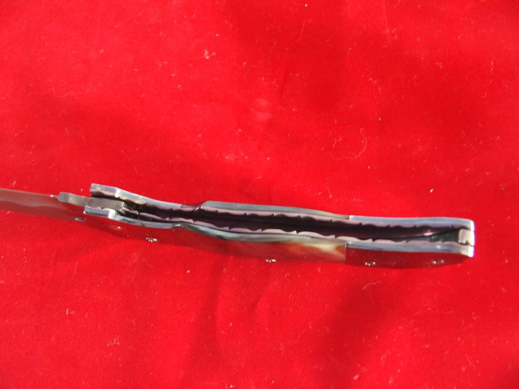 KIF_3343.jpg