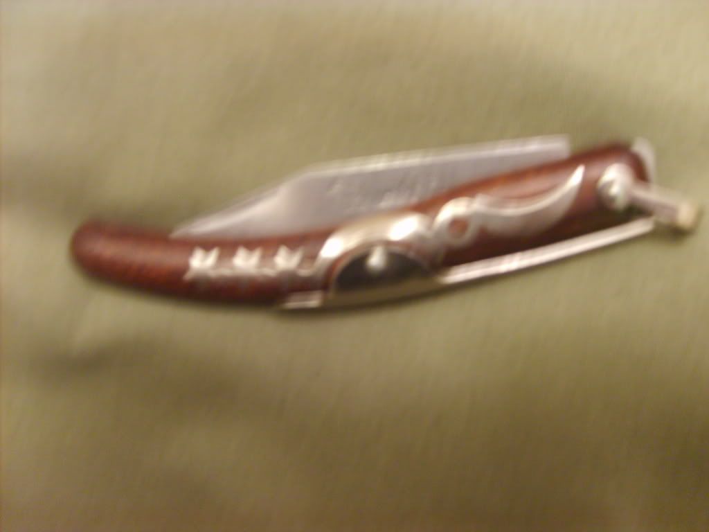 S5005538.jpg