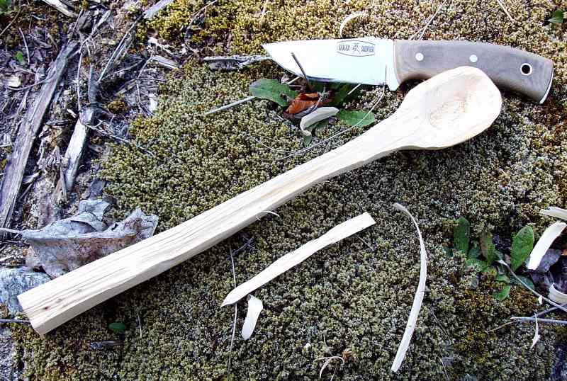 Spoon_Aprod3.jpg
