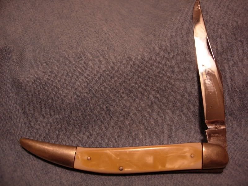 DSCN5947.jpg