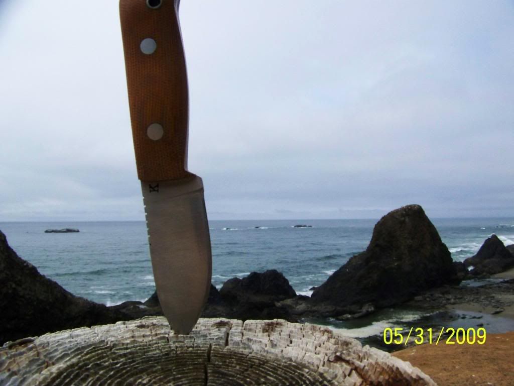 100_0741.jpg