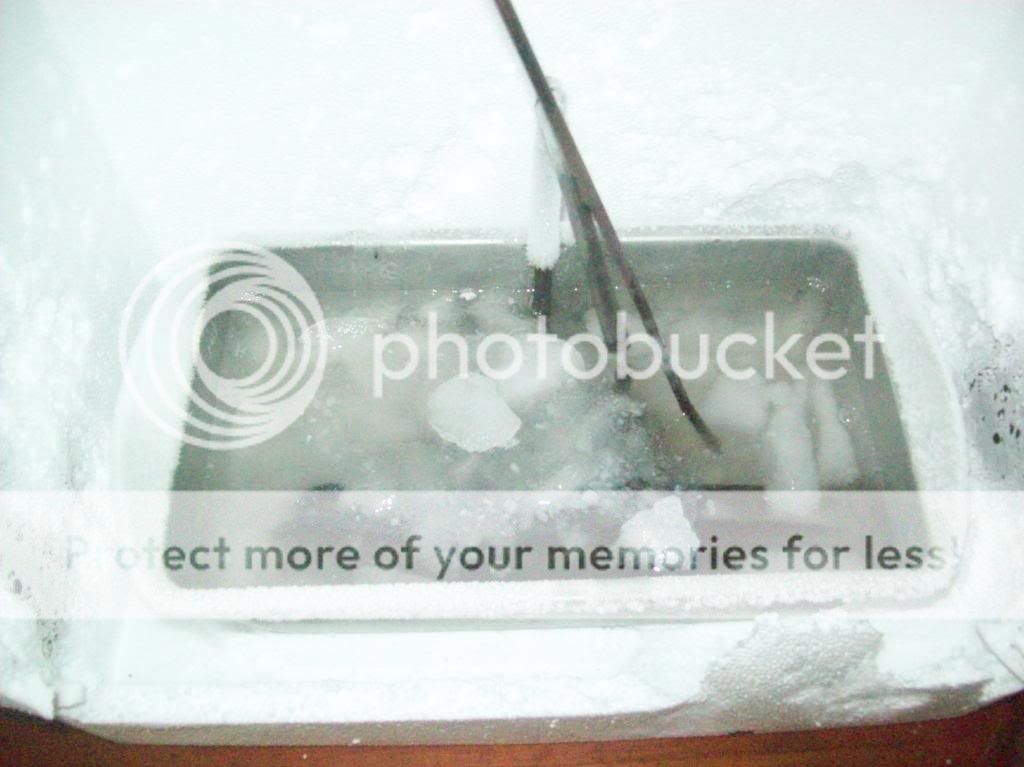 100_9211_zps9150f6fa.jpg