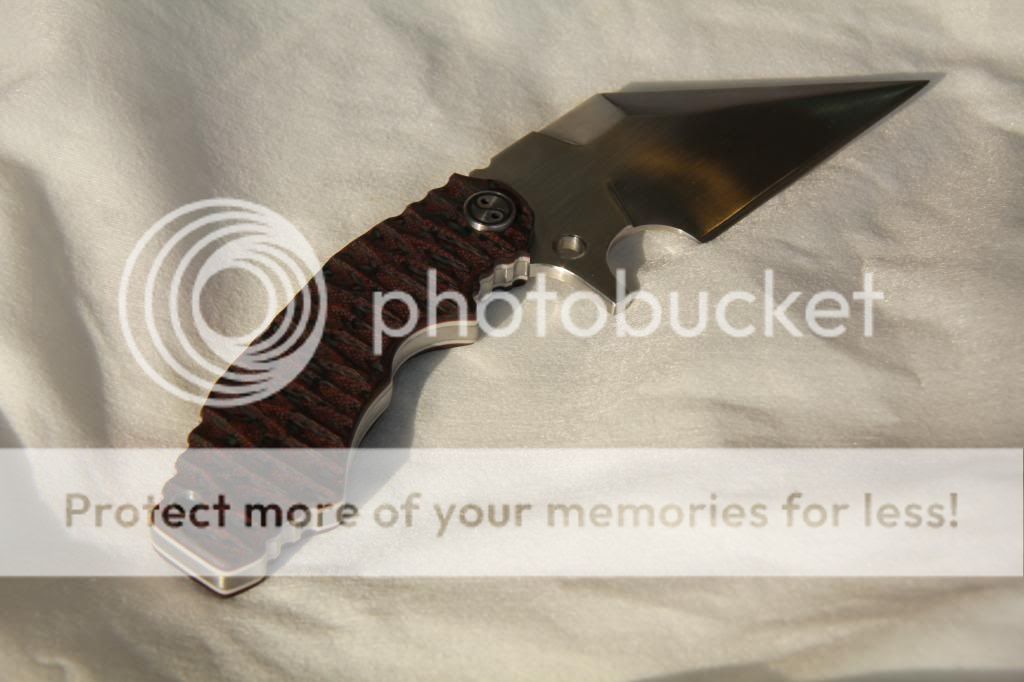 IMG_3041_zps8d806182.jpg