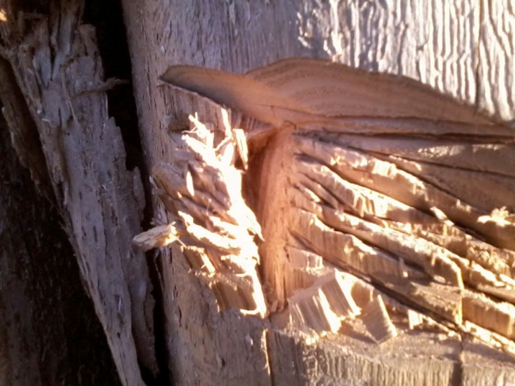 120218_005.jpg