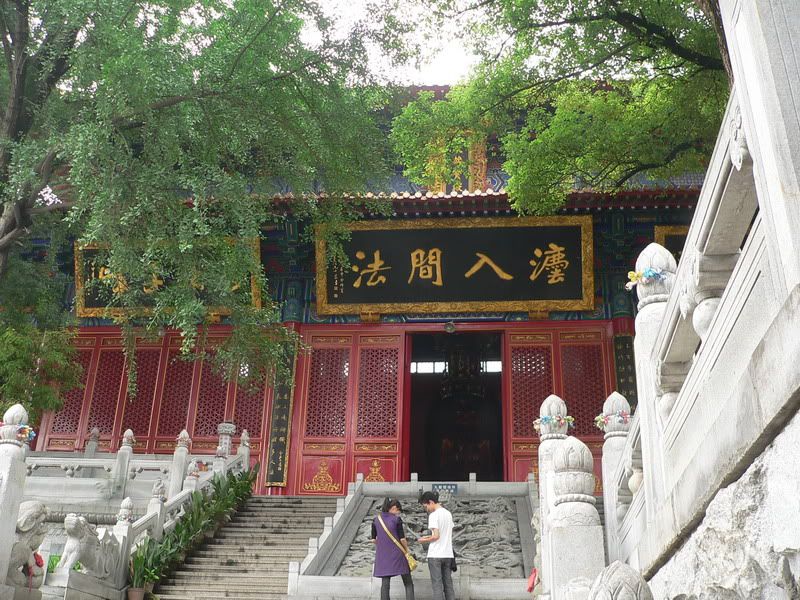 P1400560.jpg