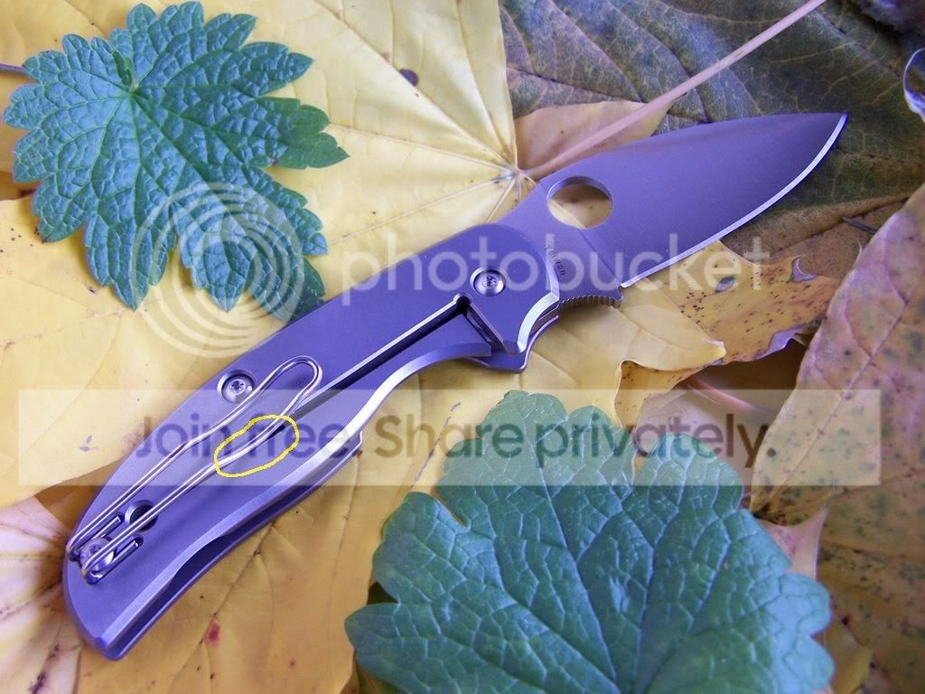 Spyderco-SageRILTi016Clipwireinlock.jpg