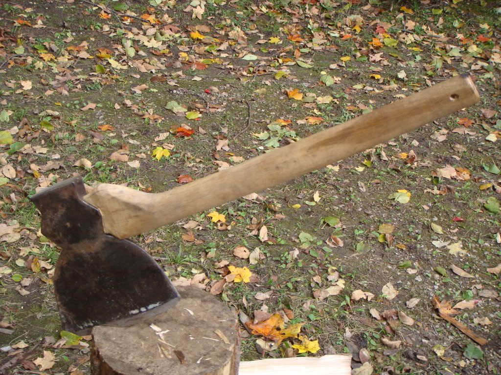 DSC06571.jpg