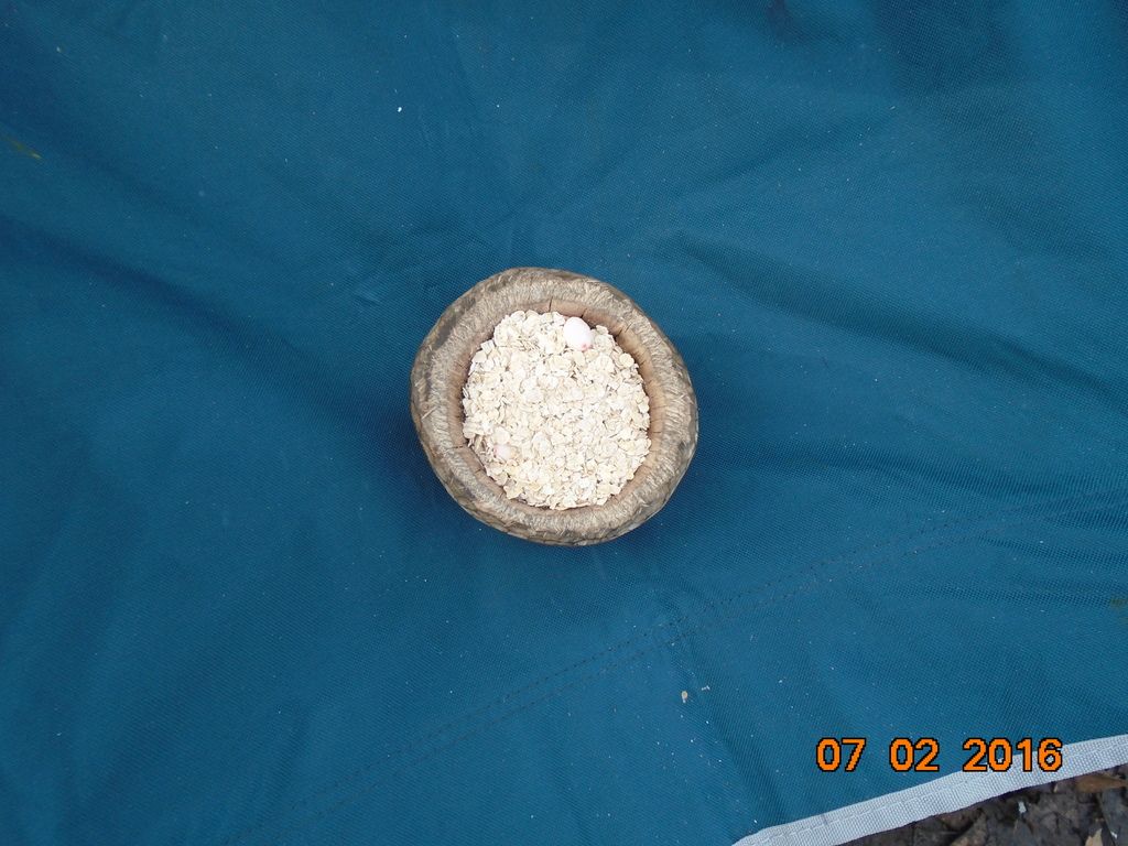 Camp%2047_zpsdap3aenc.jpg