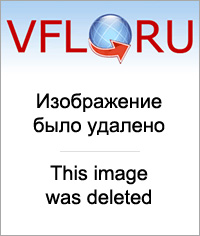 11033002.jpg