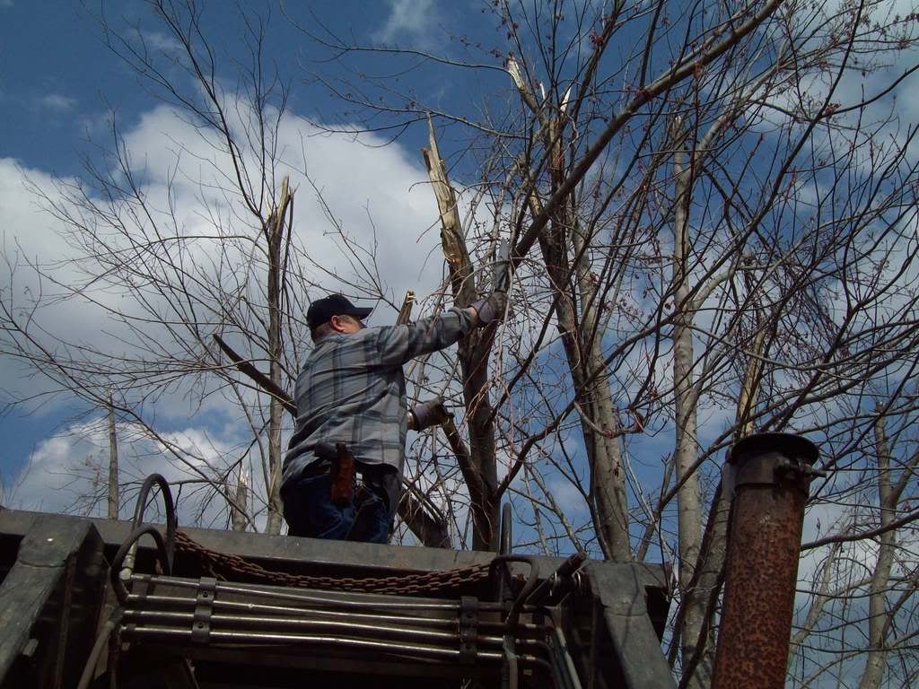 100_0073.jpg