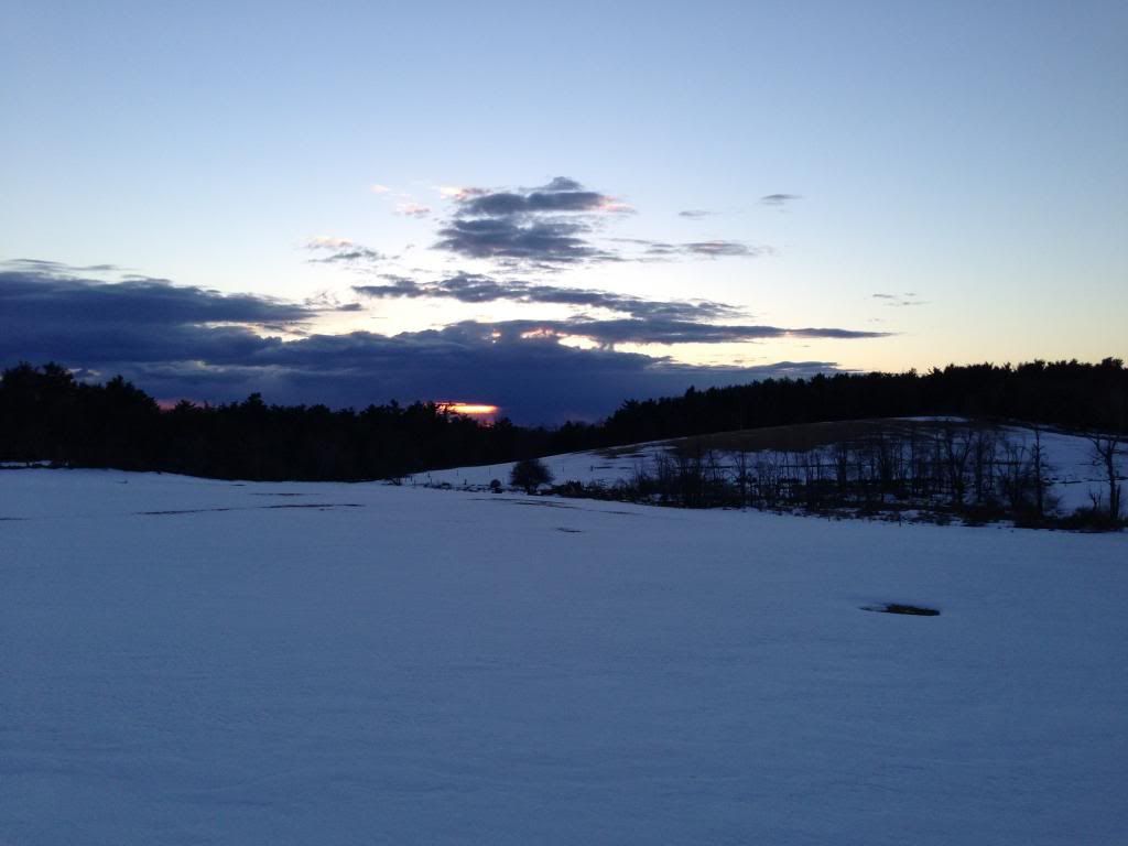 IMG_0294_zps06e84251.jpg