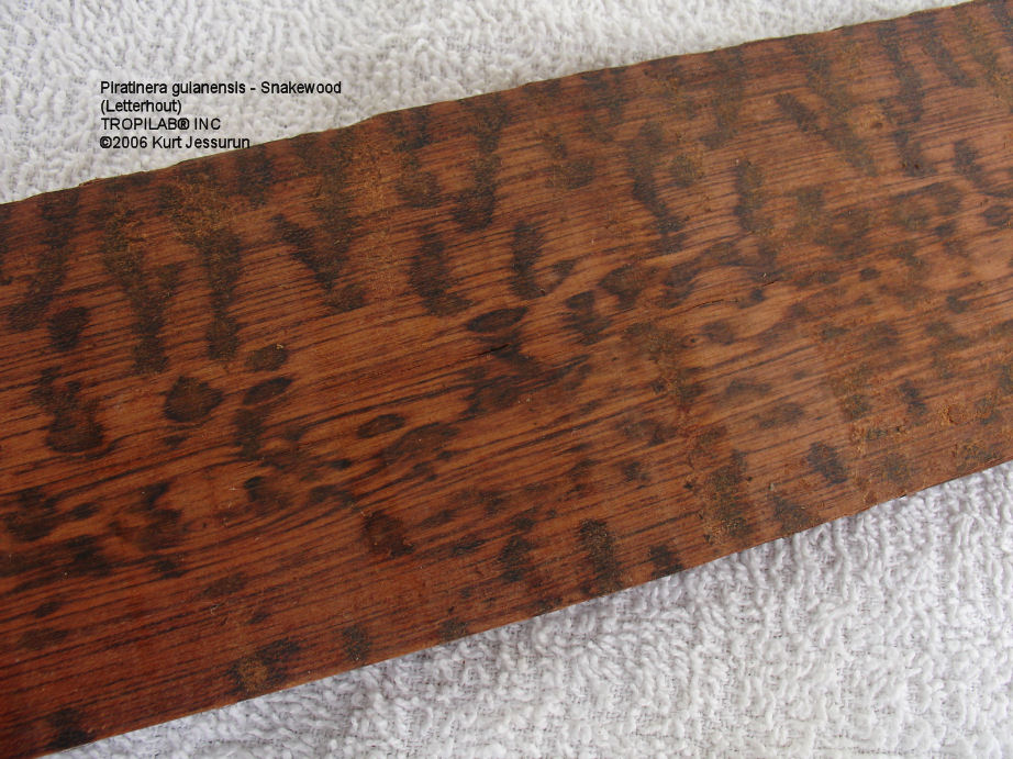 view-letterhout01.jpg