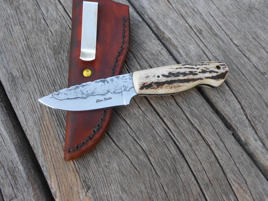 1095andstag009.jpg