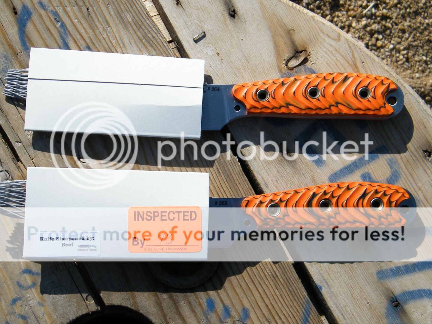 DSCF7254.jpg