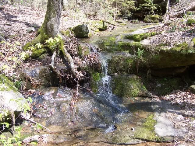 100_2889.jpg