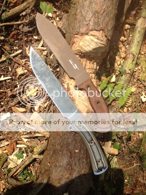 securedownload-1401_zpsa3f93394.jpg