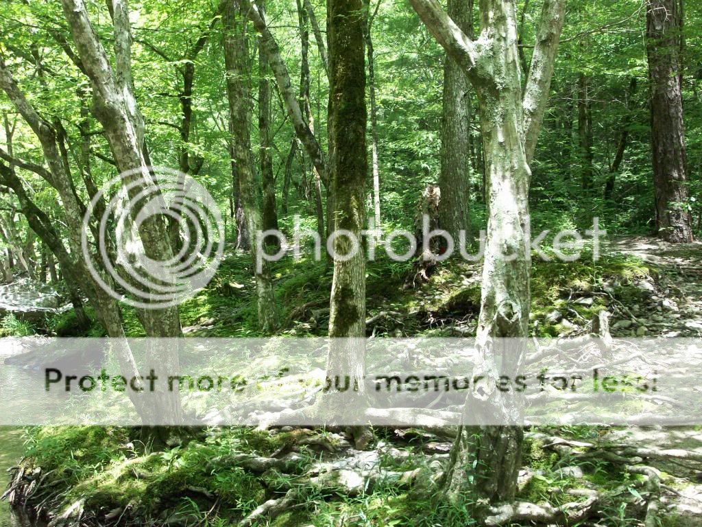 100_2433.jpg