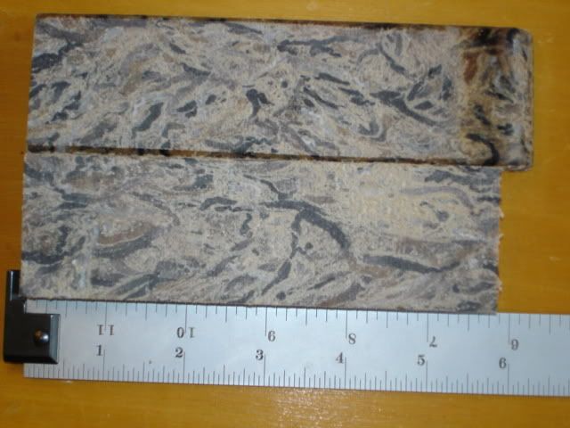 DSC02325.jpg