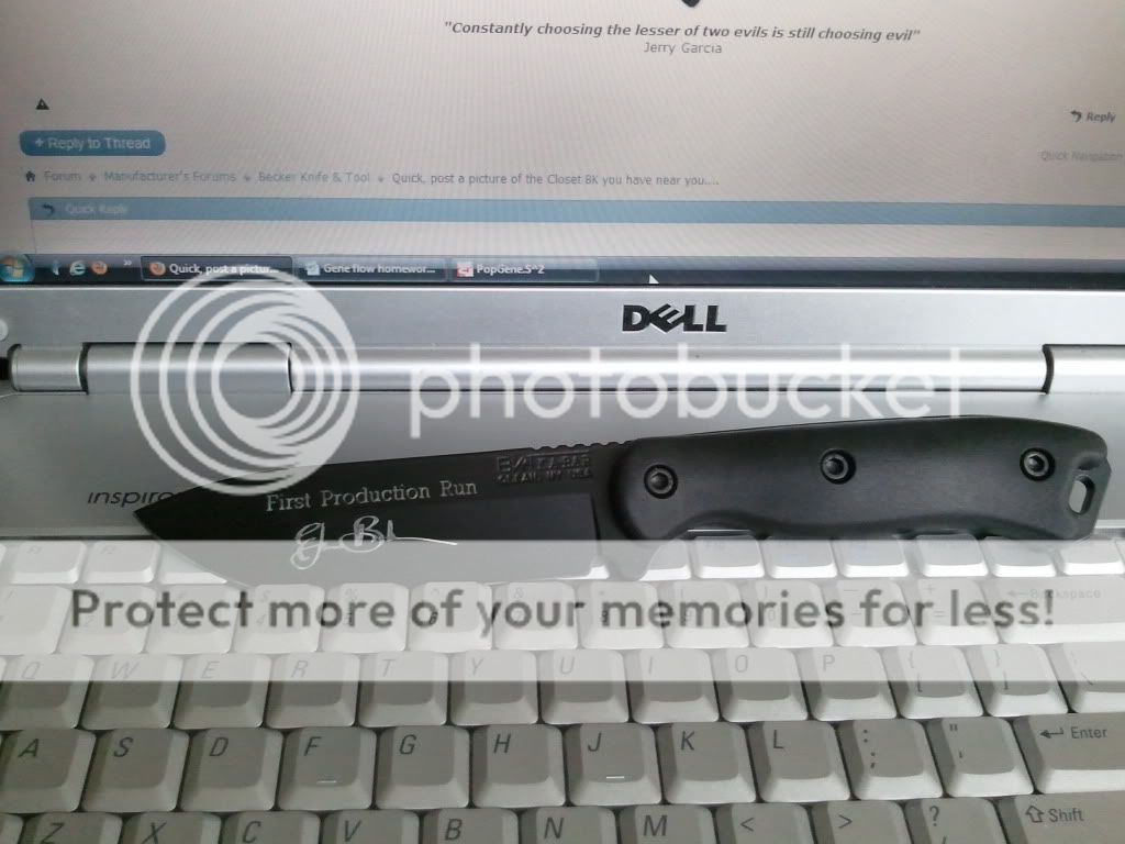 2012-03-16163244.jpg