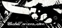 reducedCopyofBestbladeforums1.jpg