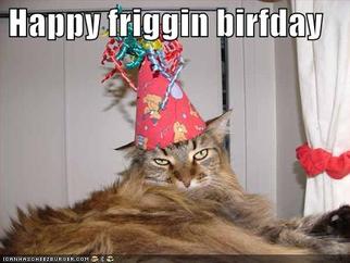lolcat.jpg