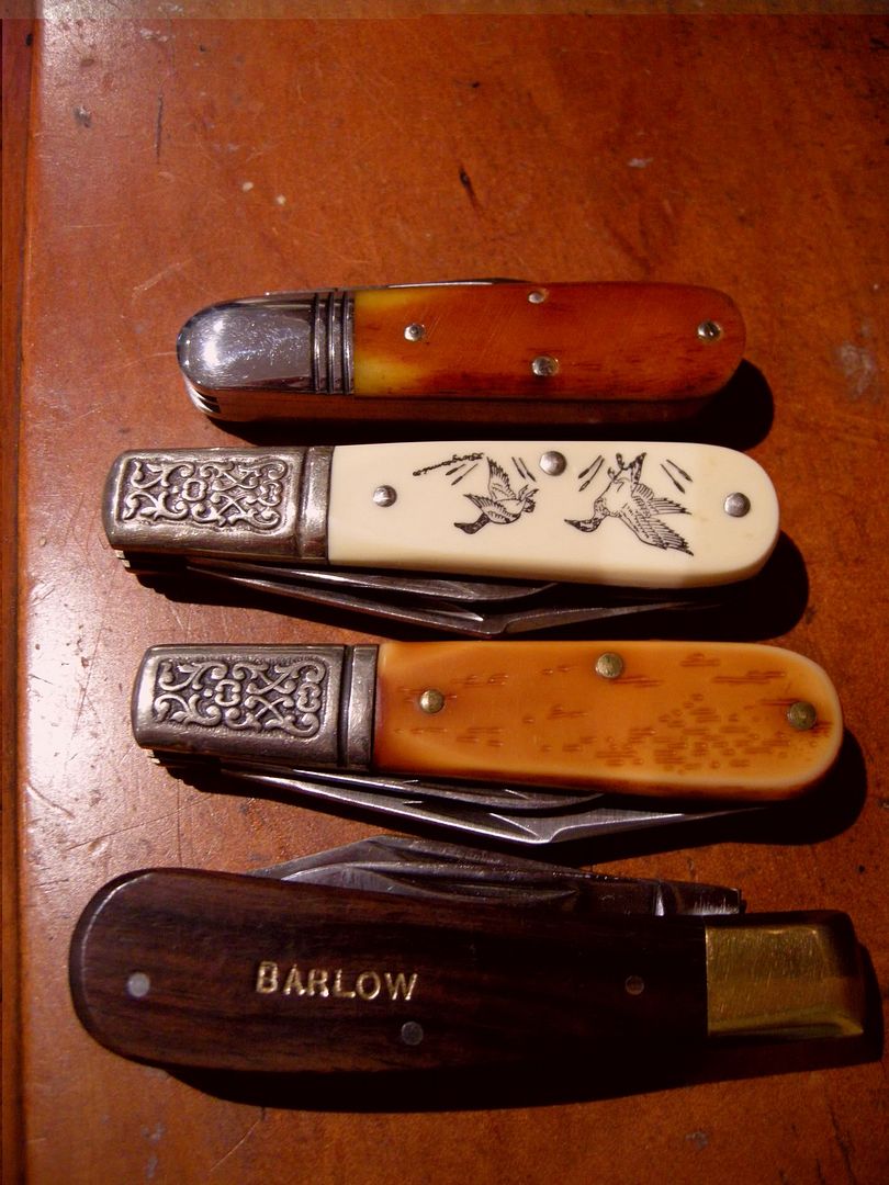 DSCN6360.jpg