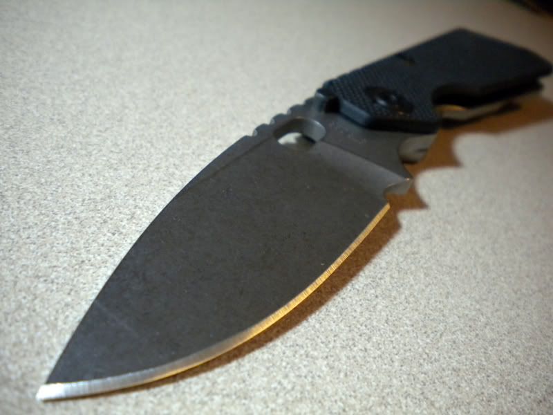 SNG1.jpg