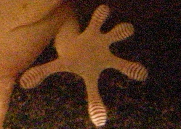 2009.11.01.r0019278p.jpg