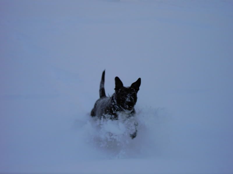SnowDay2005.jpg