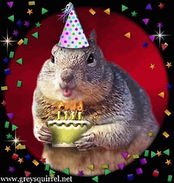 birthday.gif