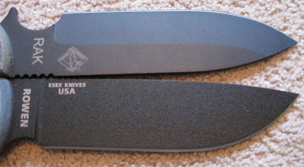 RAKVSEsee6_1.jpg