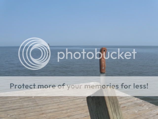 IMG_2742.jpg