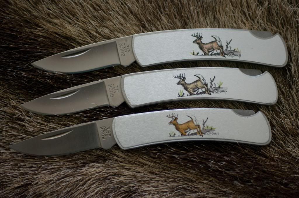Buck525Deerdrei.jpg