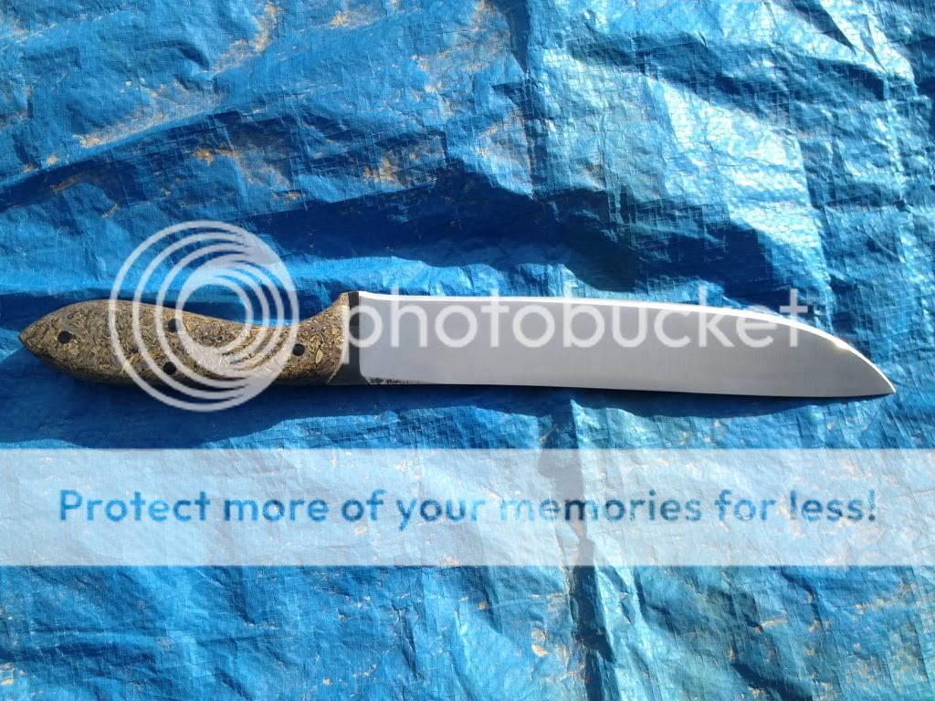 91697703.jpg