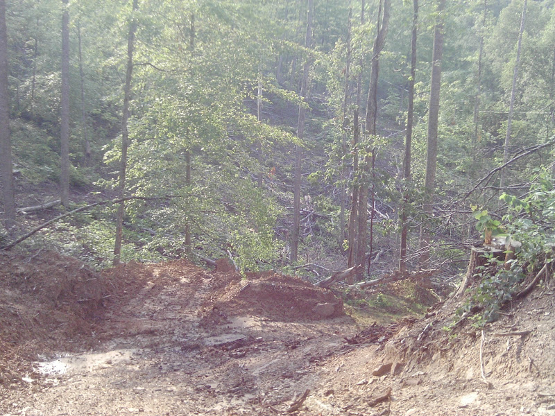 IMAG0080.JPG