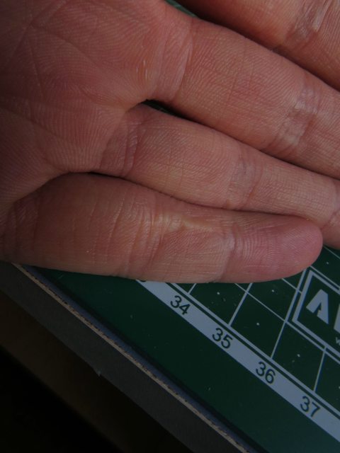 wSn6QvOl.jpg