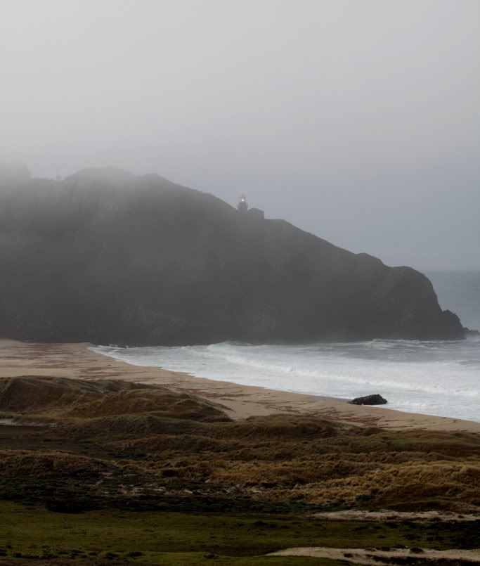 MFBigSur015.jpg