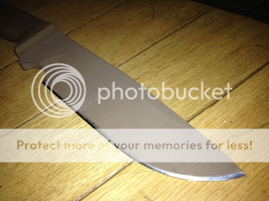 IMG_6546_zpsb6i9om3n.jpg