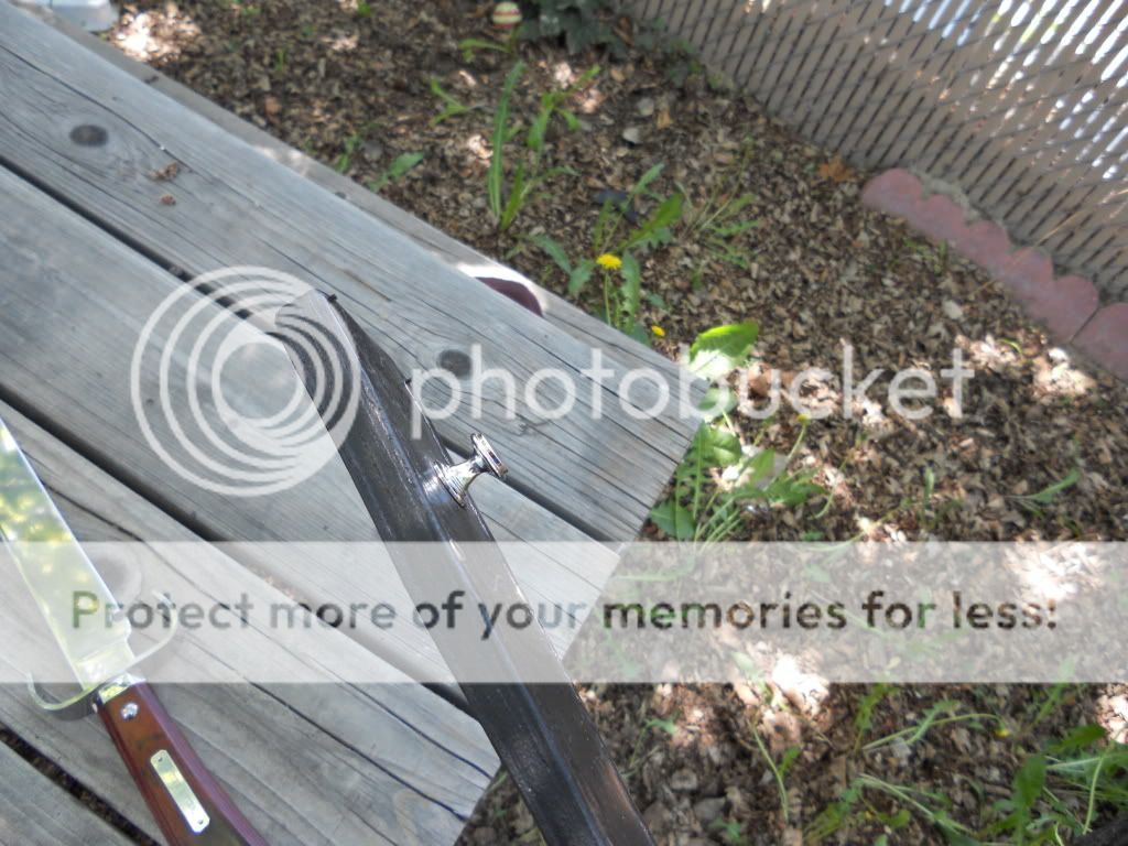DSCN0350.jpg