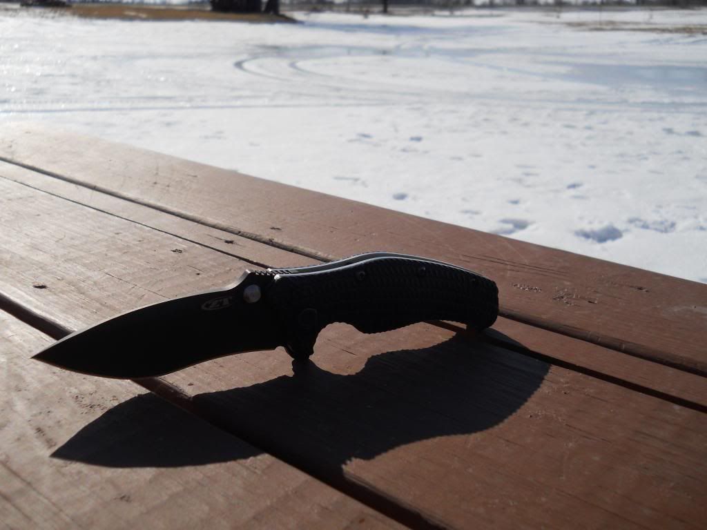 ZT007_zpsb878c440.jpg