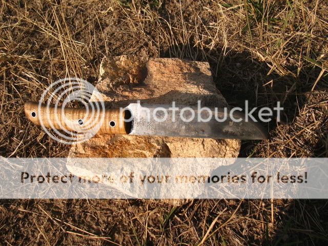 IMG_4581.jpg