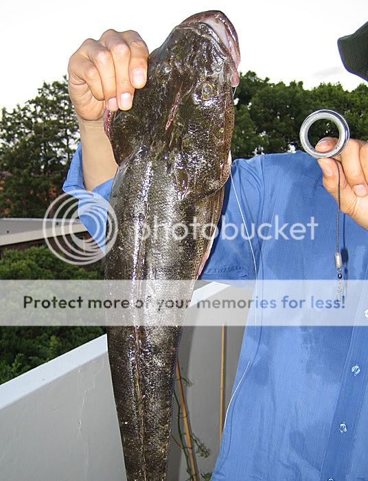 walkincountrysurvivalfishkit1.jpg