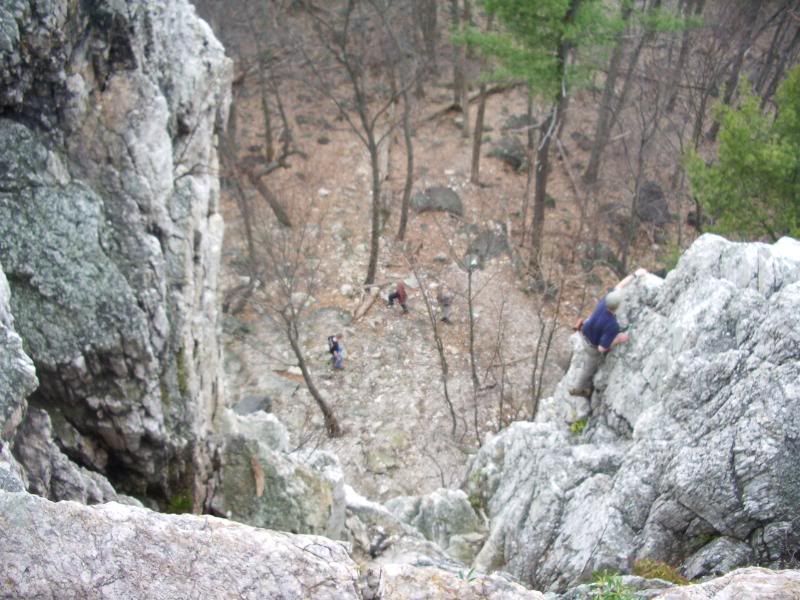 barebones050.jpg