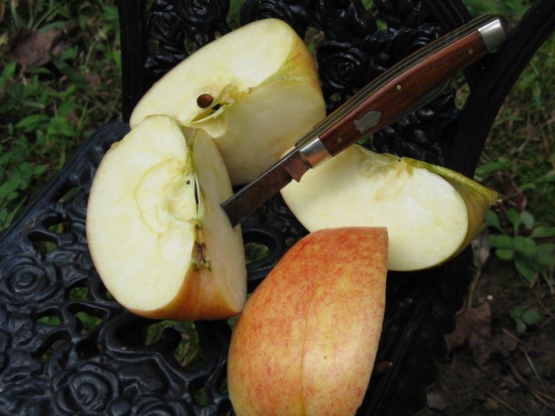 832applesnacka.jpg
