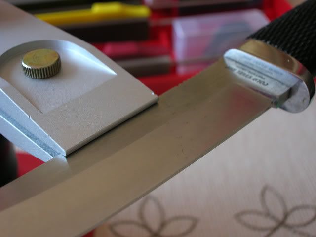 DSCN10870001.jpg
